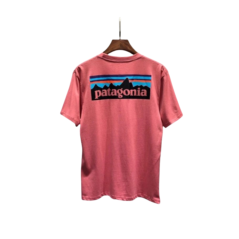 Patagonia Tee-1