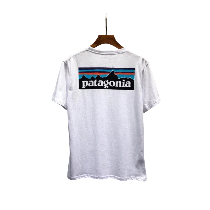 Patagonia Tee-12