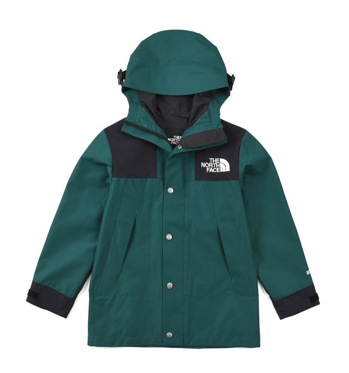 The North Face Jacket-2