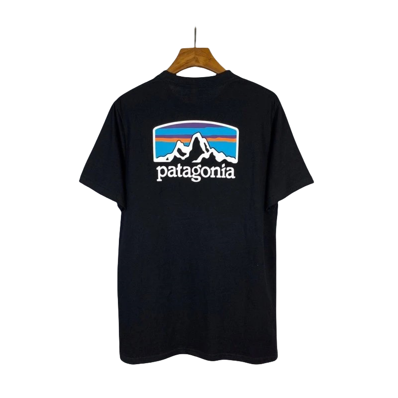 Patagonia Tee-4