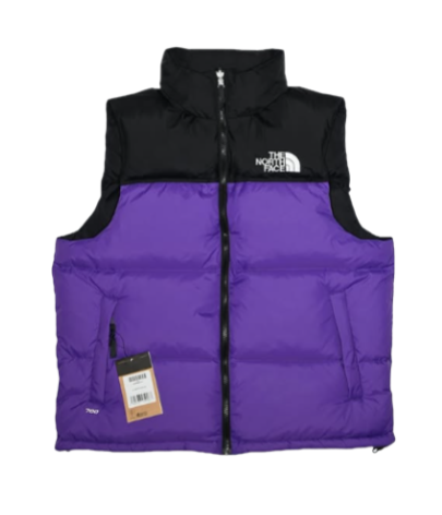 The North Face Vest-5
