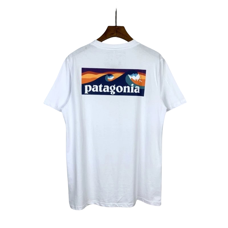 Patagonia Tee-5