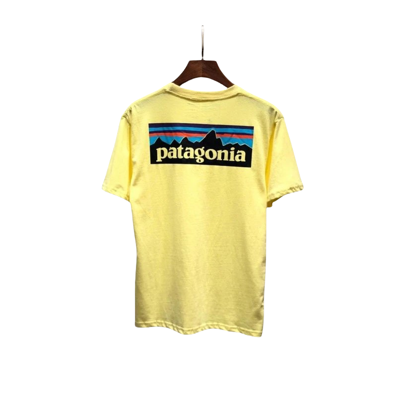 Patagonia Tee-6