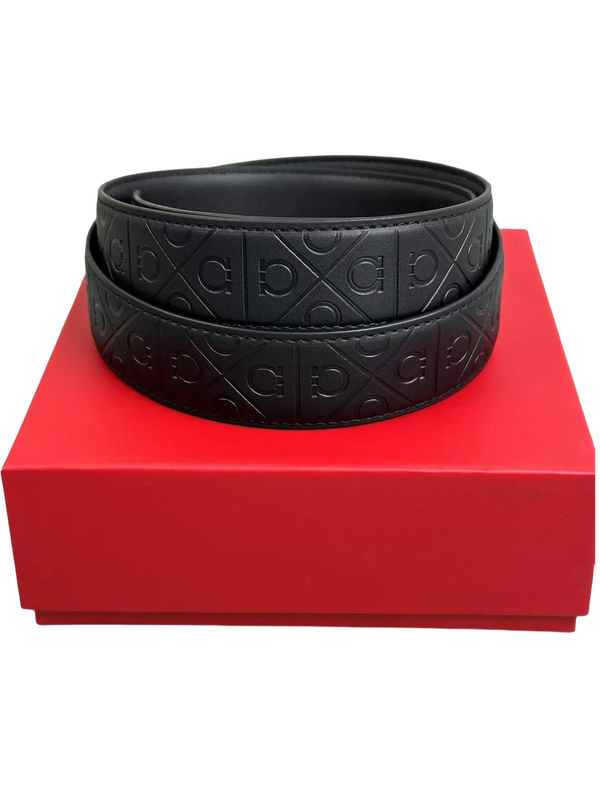 Ferragamo Belt-2