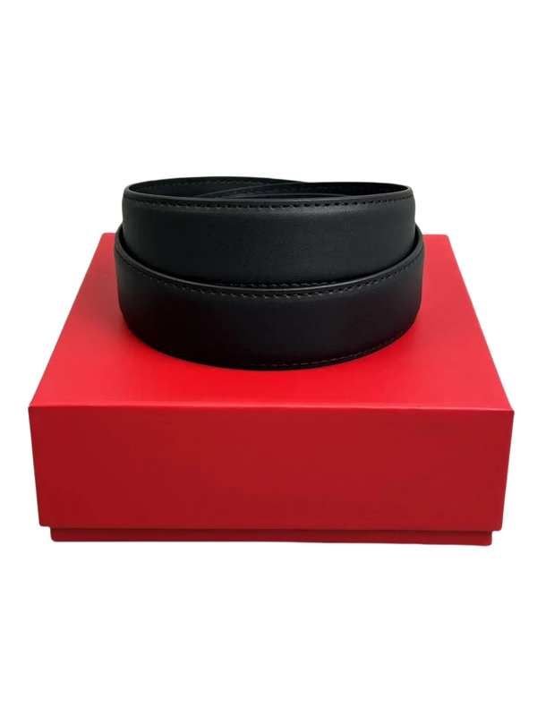 Ferragamo Belt-3
