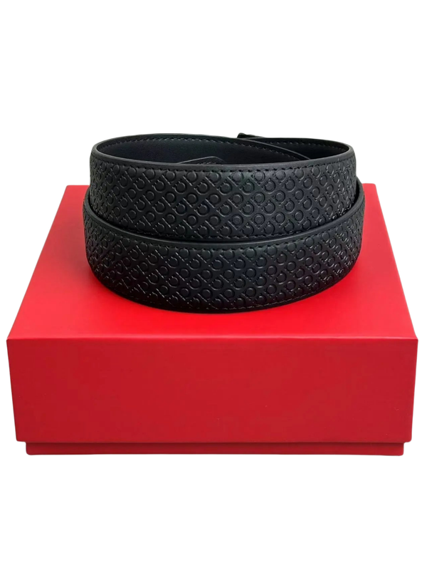 Ferragamo Belt-4