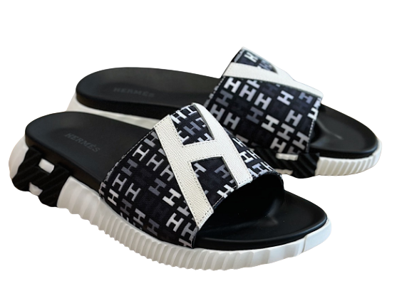 Hermes Slides-1