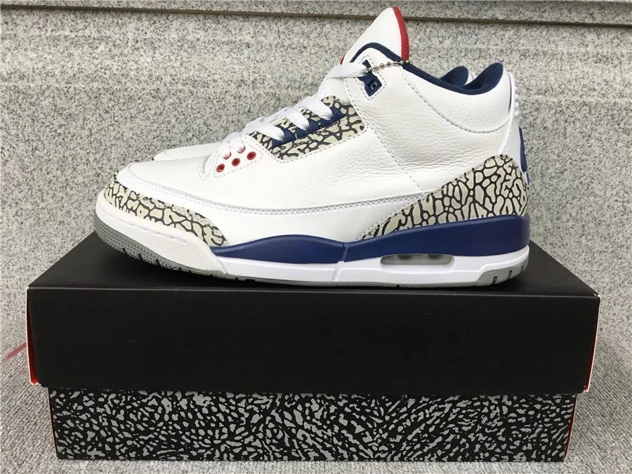 Air Jordan 3 AJ3 Sneakers
15 colorways